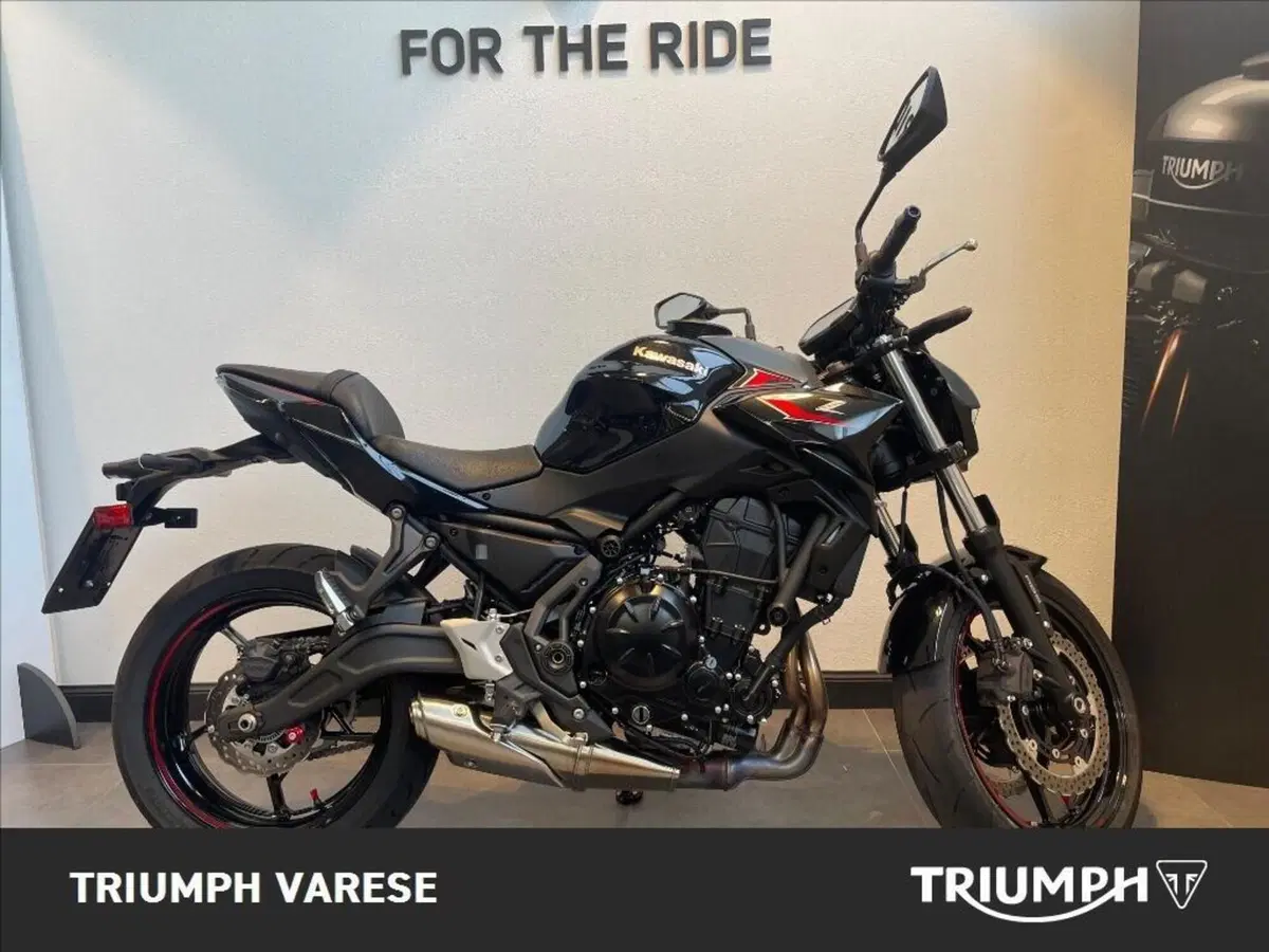 Kawasaki Z 650 (2021 - 24)