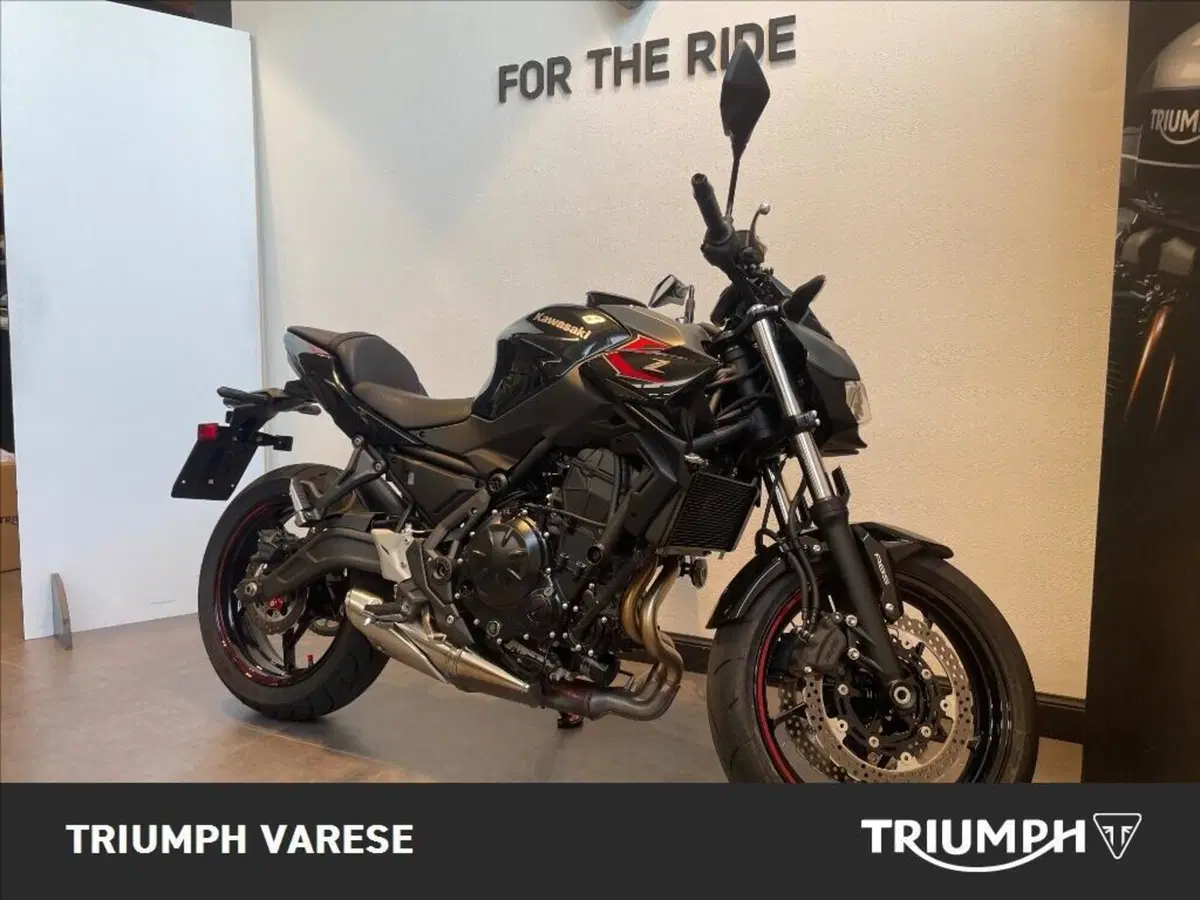 Kawasaki Z 650 (2021 - 24) (3)