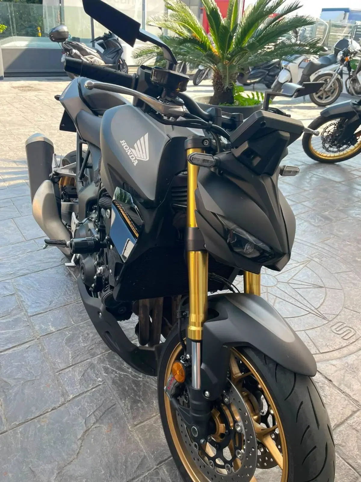 Honda CB 1000 Hornet (2025 - 26) (7)