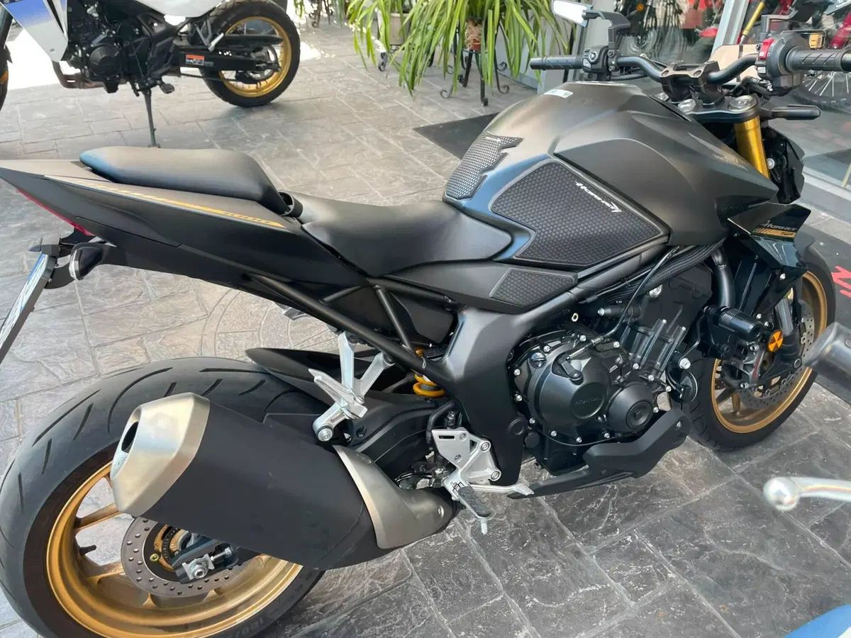 Honda CB 1000 Hornet (2025 - 26) (8)