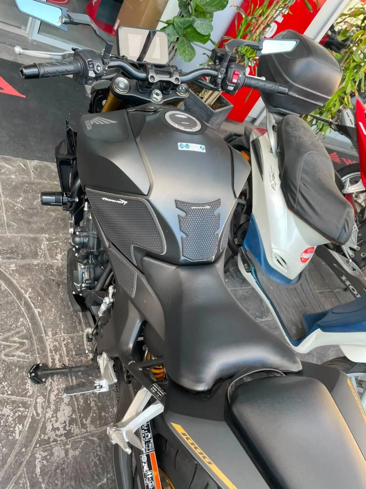 Honda CB 1000 Hornet (2025 - 26) (9)