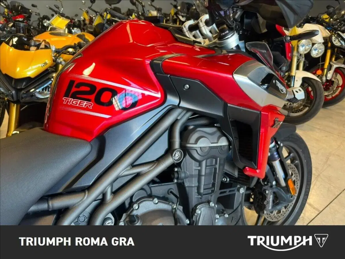 Triumph Tiger 1200 XRt (2018 - 20) (13)