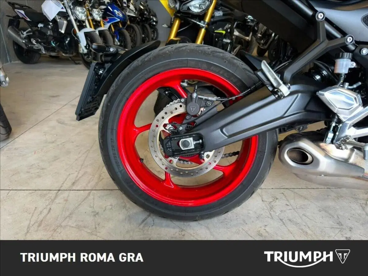 Triumph Trident 660 Triple Tribute Edition (2025 - 26) (5)