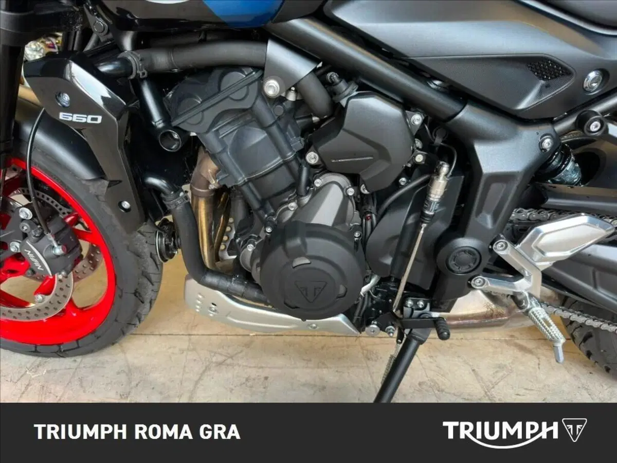 Triumph Trident 660 Triple Tribute Edition (2025 - 26) (9)