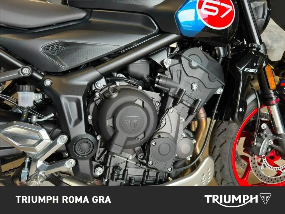 Triumph Trident 660 Triple Tribute Edition (2025 - 26) (6)