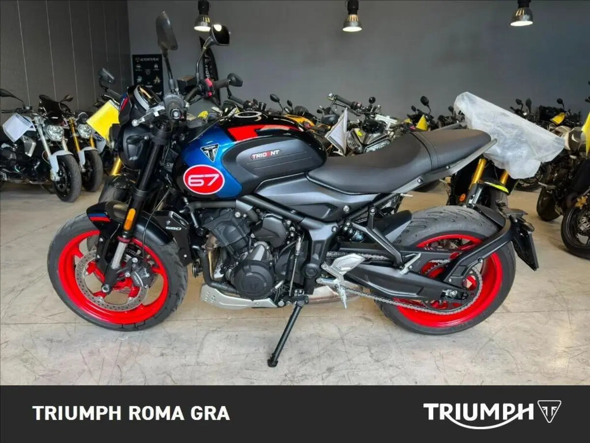 Triumph Trident 660 Triple Tribute Edition (2025 - 26) (3)