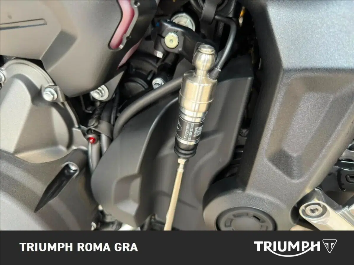 Triumph Trident 660 Triple Tribute Edition (2025 - 26) (19)