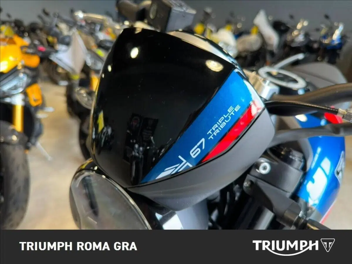 Triumph Trident 660 Triple Tribute Edition (2025 - 26) (21)