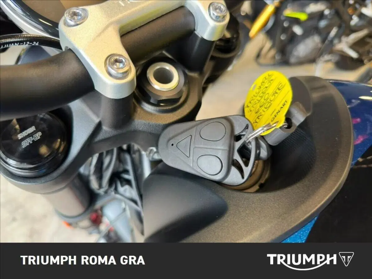 Triumph Trident 660 Triple Tribute Edition (2025 - 26) (20)