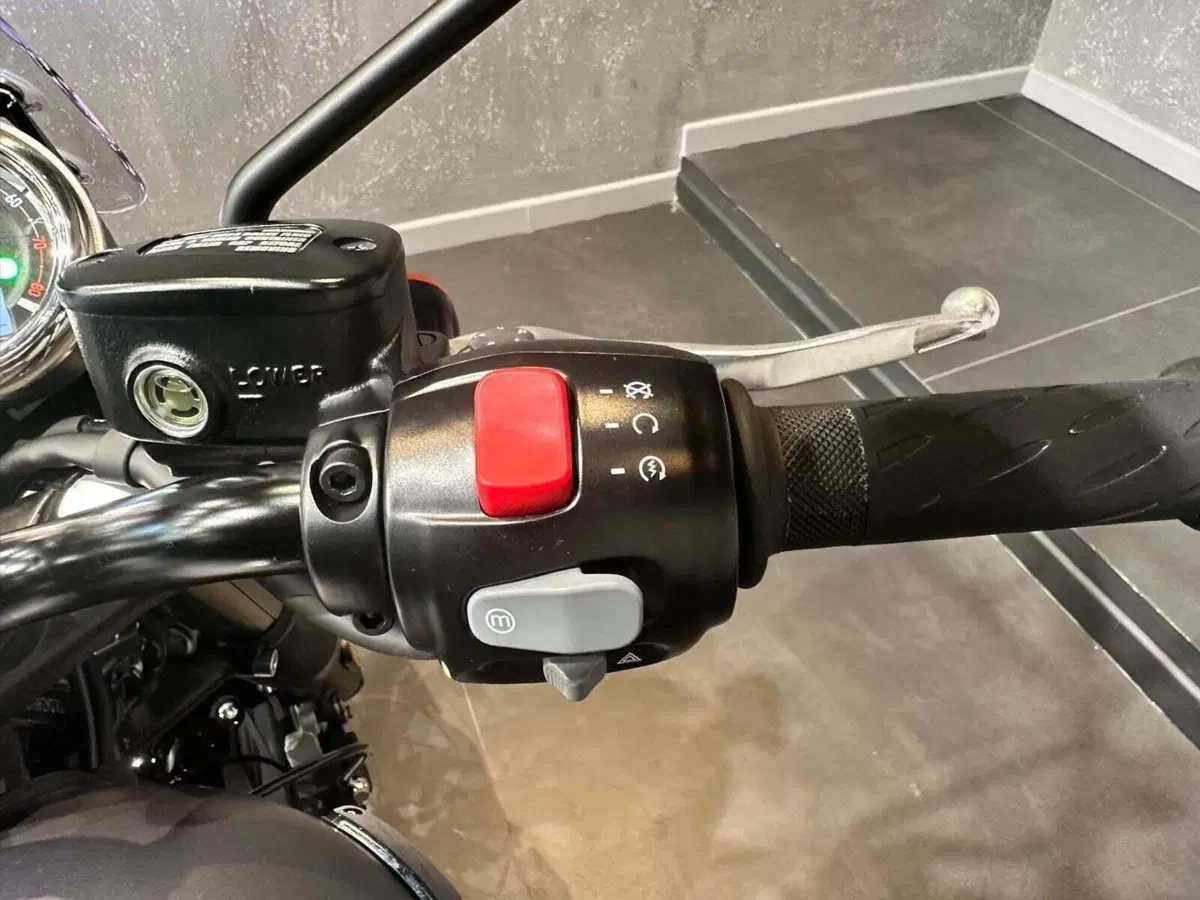 Triumph Bonneville T120 Black (2021 - 25) (7)