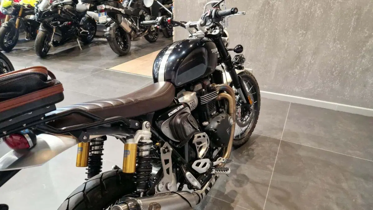 Triumph Scrambler 1200 XC (2019 - 20) (4)