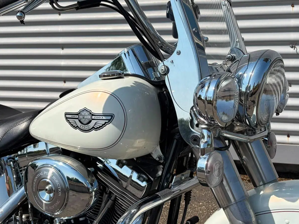 Harley-Davidson 1450 Heritage Classic (2003 - 05) - FLSTCI (4)