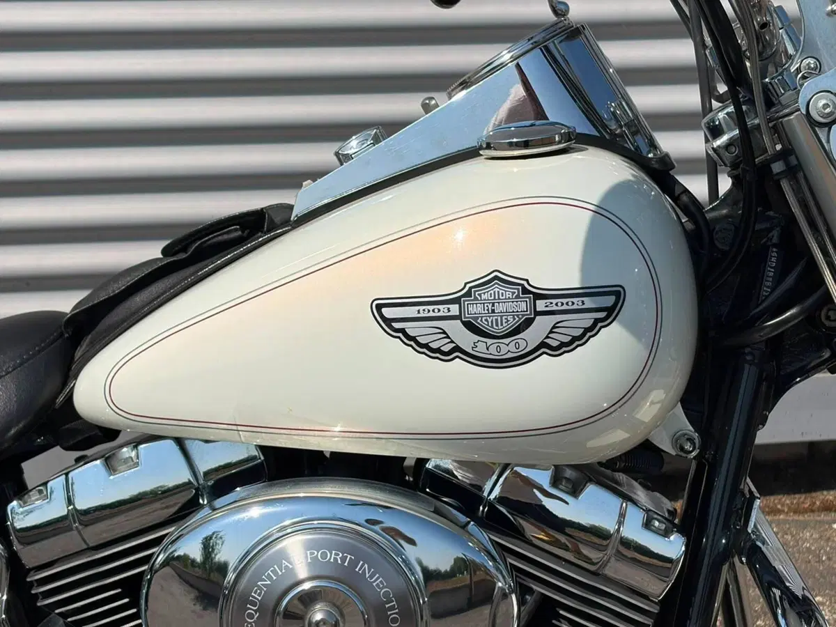 Harley-Davidson 1450 Heritage Classic (2003 - 05) - FLSTCI (6)
