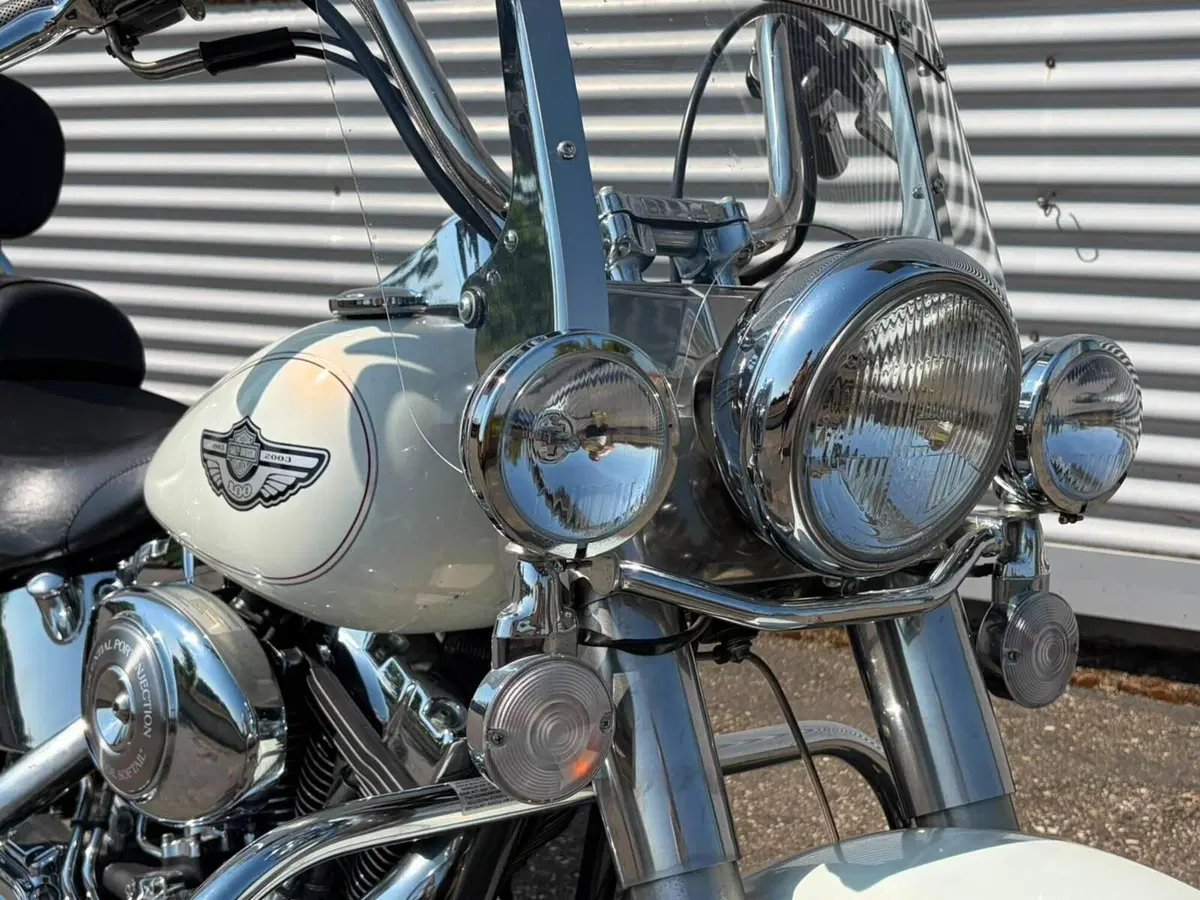 Harley-Davidson 1450 Heritage Classic (2003 - 05) - FLSTCI (16)