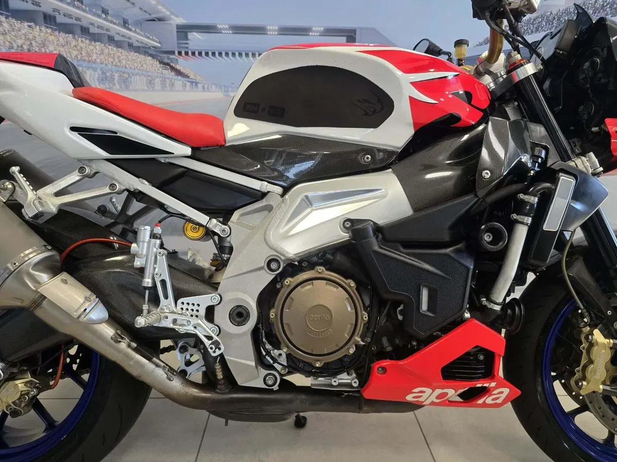 Aprilia Tuono 1000 R (2006 - 10) (15)