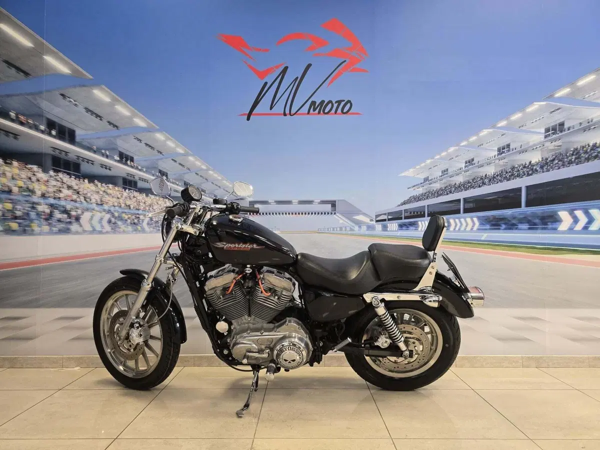 Harley-Davidson 883 Standard (2001 - 05) - XL 883 (4)