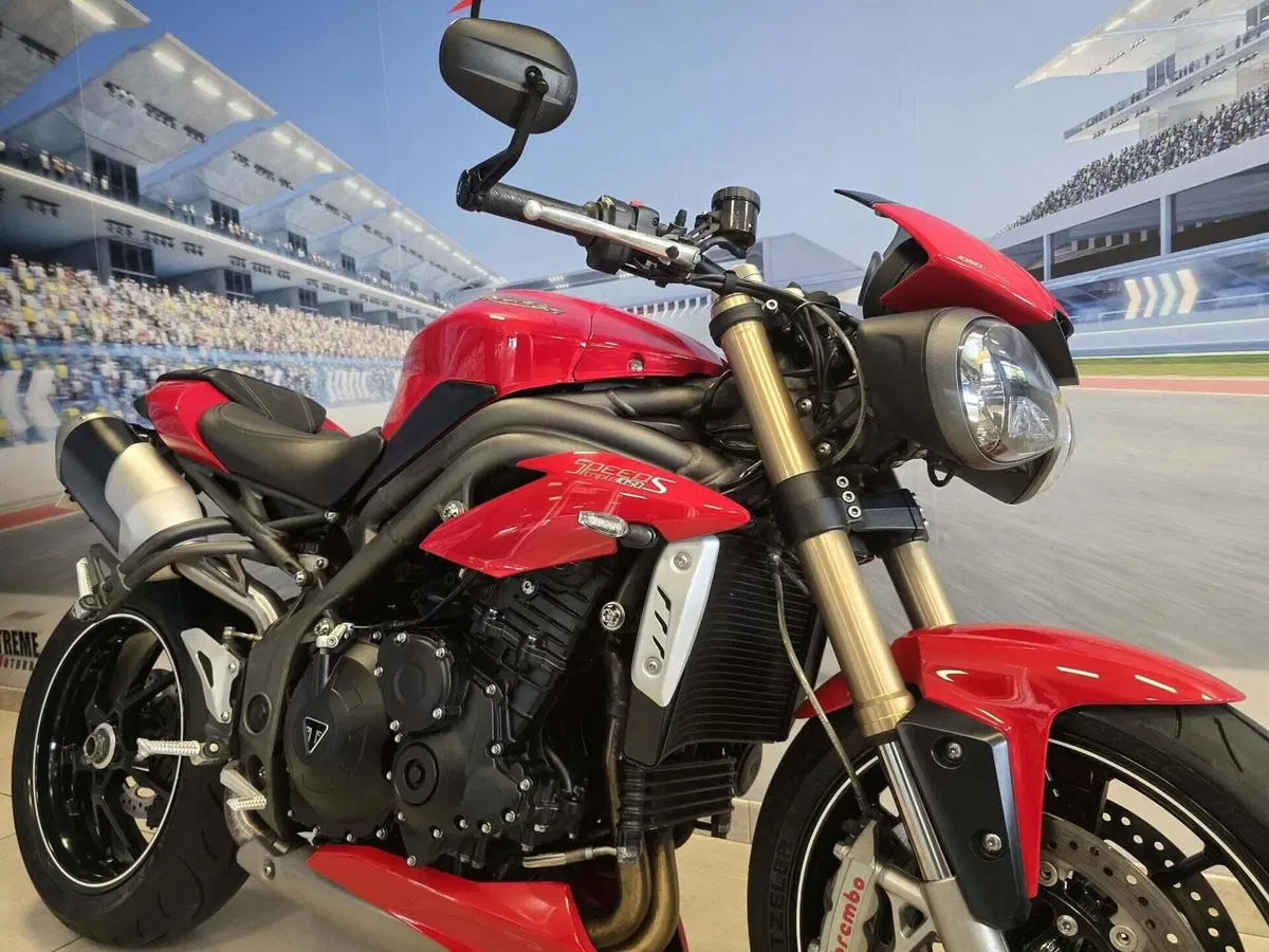 Triumph Speed Triple 1050 S ABS (2016 - 17) (13)