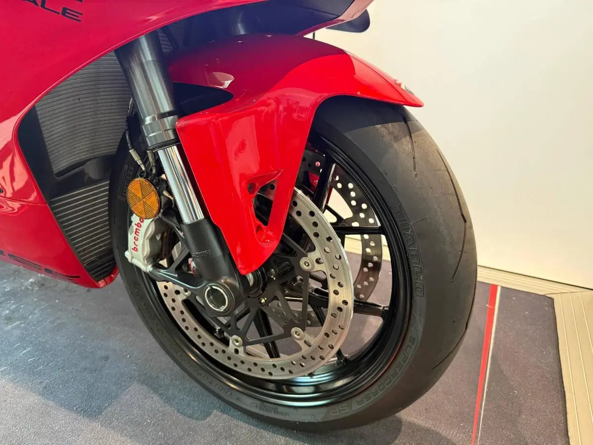 Ducati Panigale V4 (2022 - 24) (3)