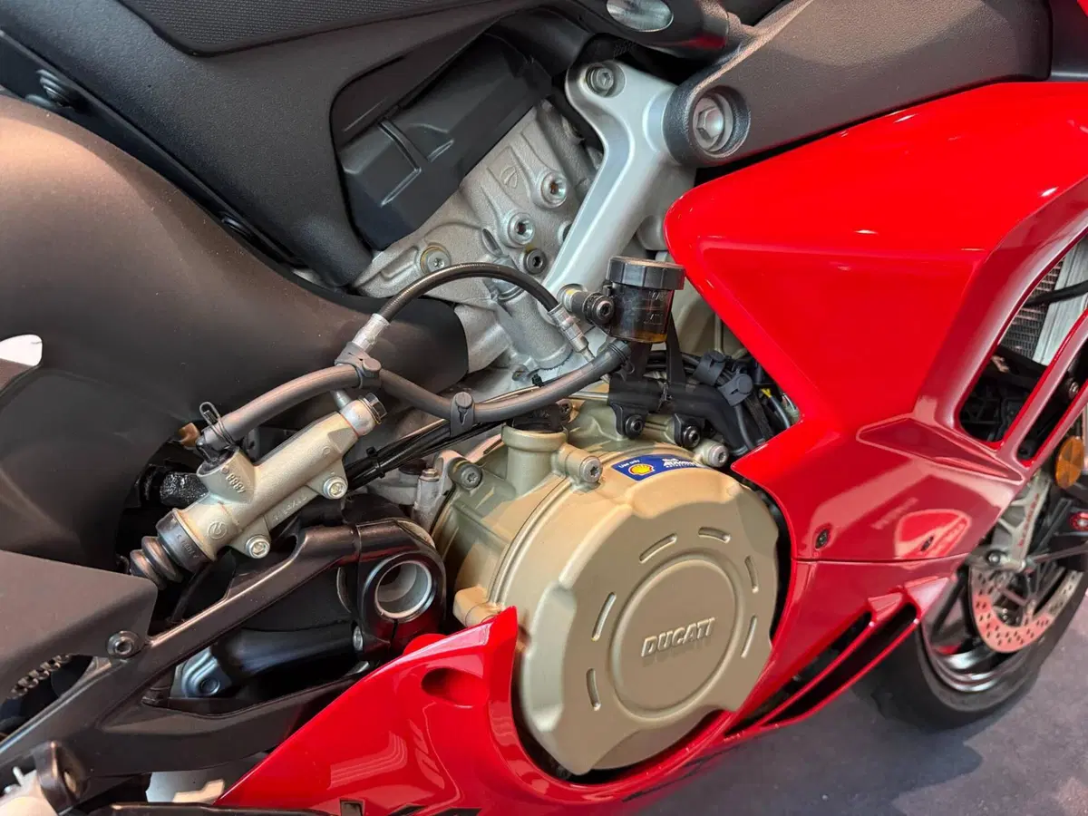 Ducati Panigale V4 (2022 - 24) (4)