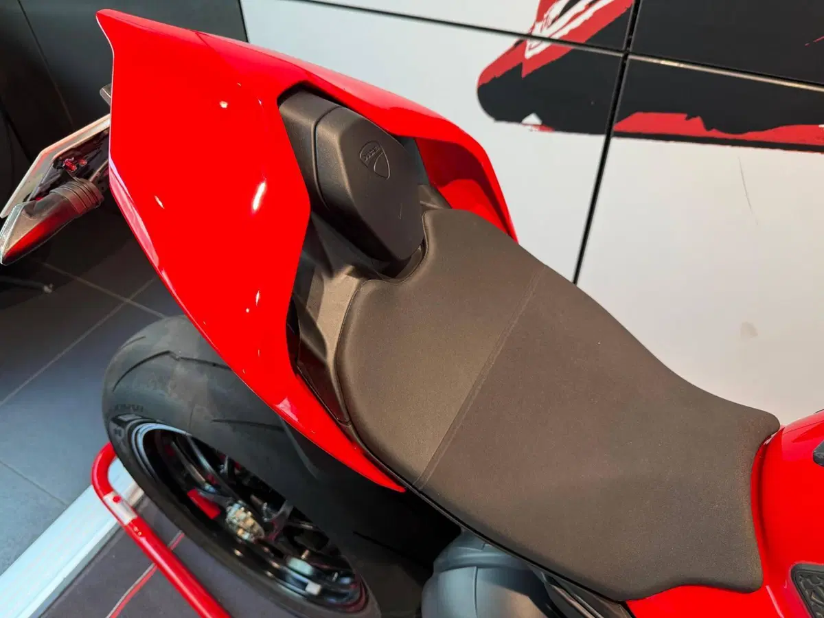 Ducati Panigale V4 (2022 - 24) (5)