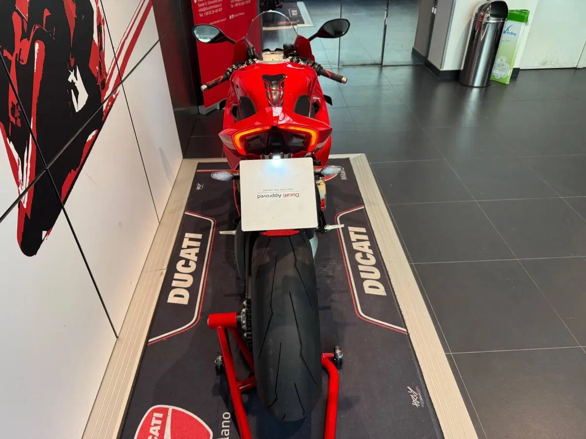 Ducati Panigale V4 (2022 - 24) (9)