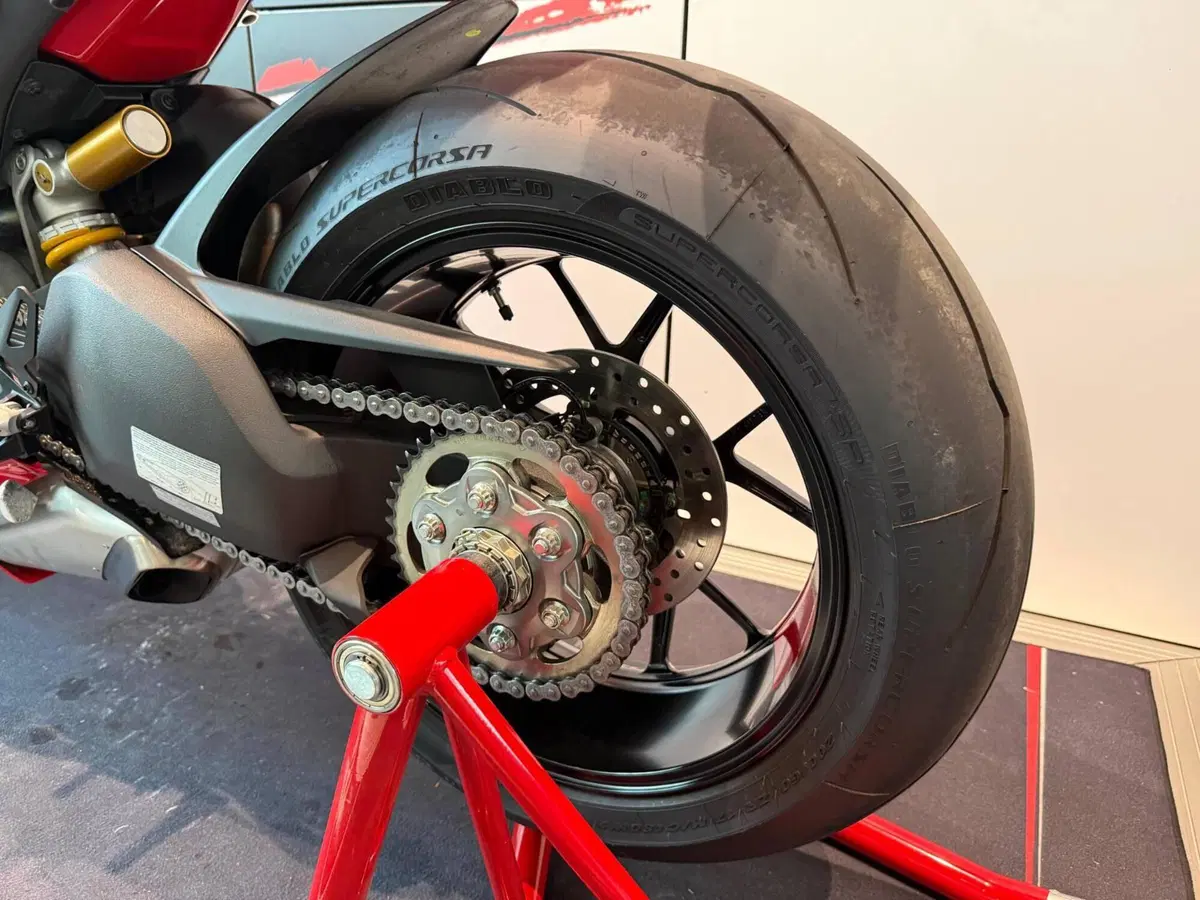 Ducati Panigale V4 (2022 - 24) (11)