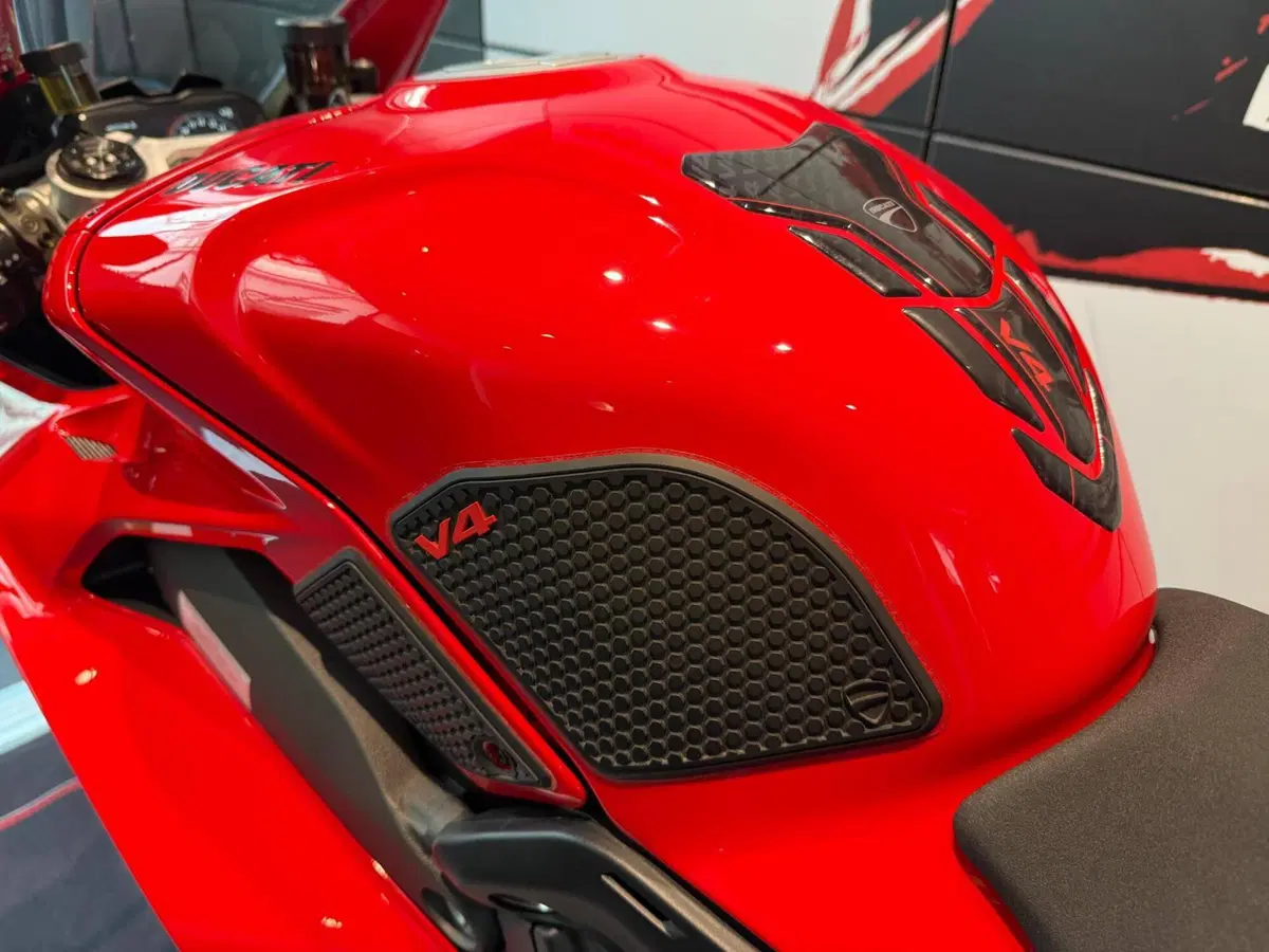 Ducati Panigale V4 (2022 - 24) (12)