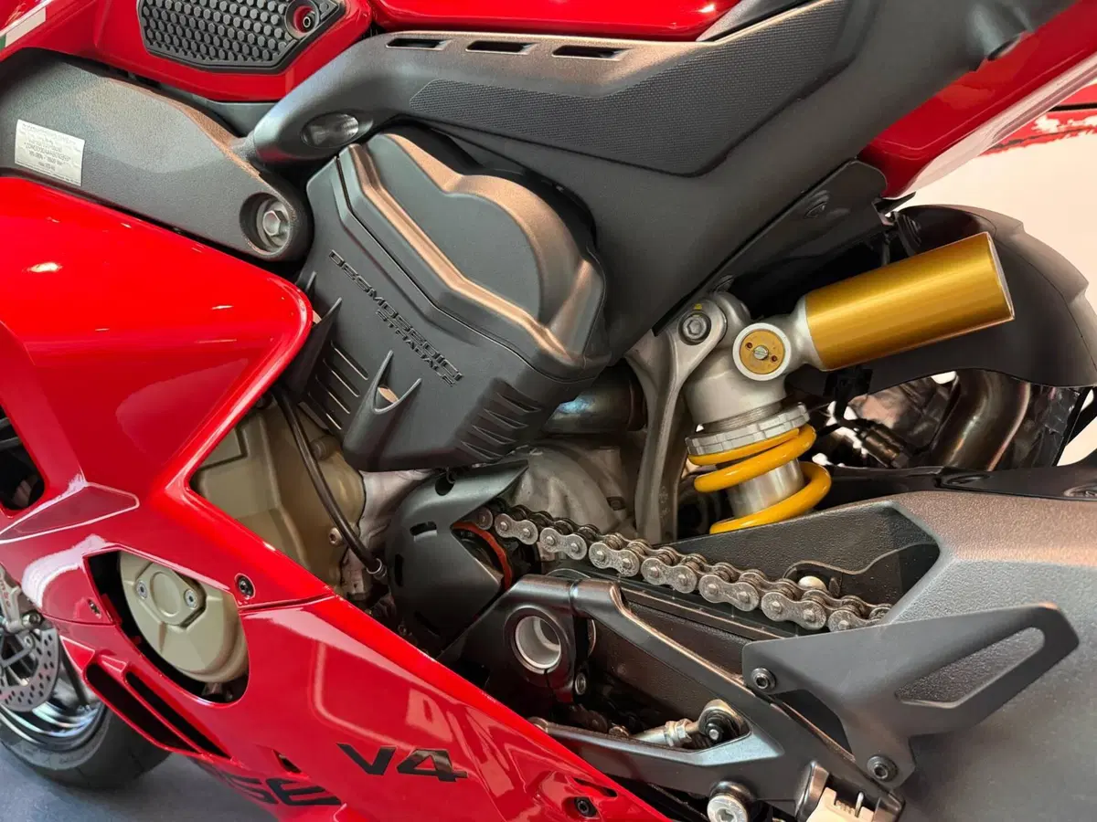 Ducati Panigale V4 (2022 - 24) (13)