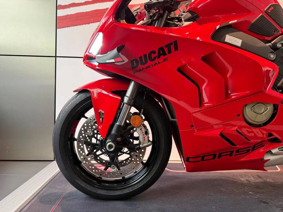 Ducati Panigale V4 (2022 - 24) (14)