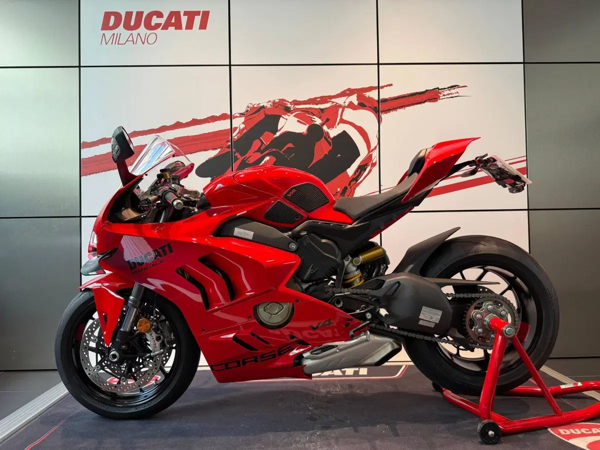 Ducati Panigale V4 (2022 - 24) (15)