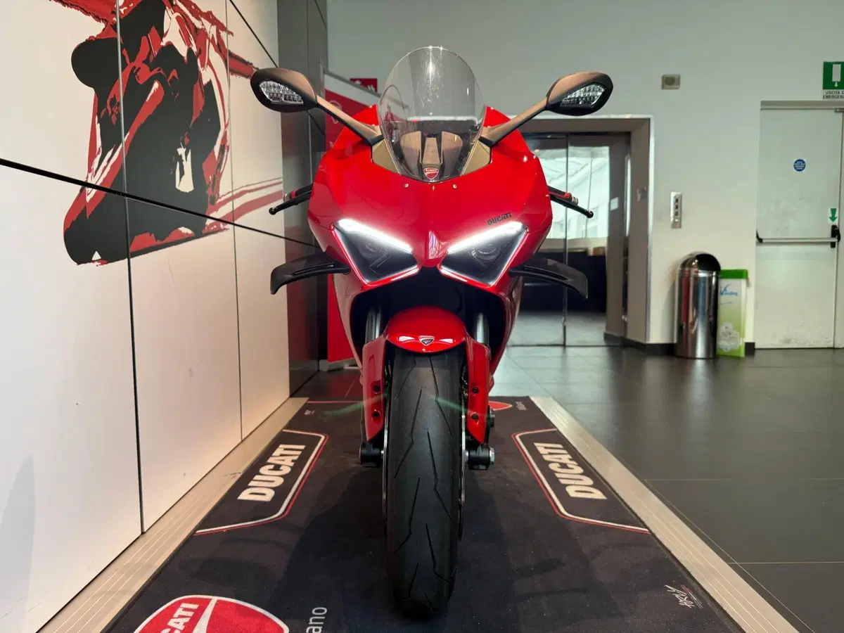 Ducati Panigale V4 (2022 - 24) (17)