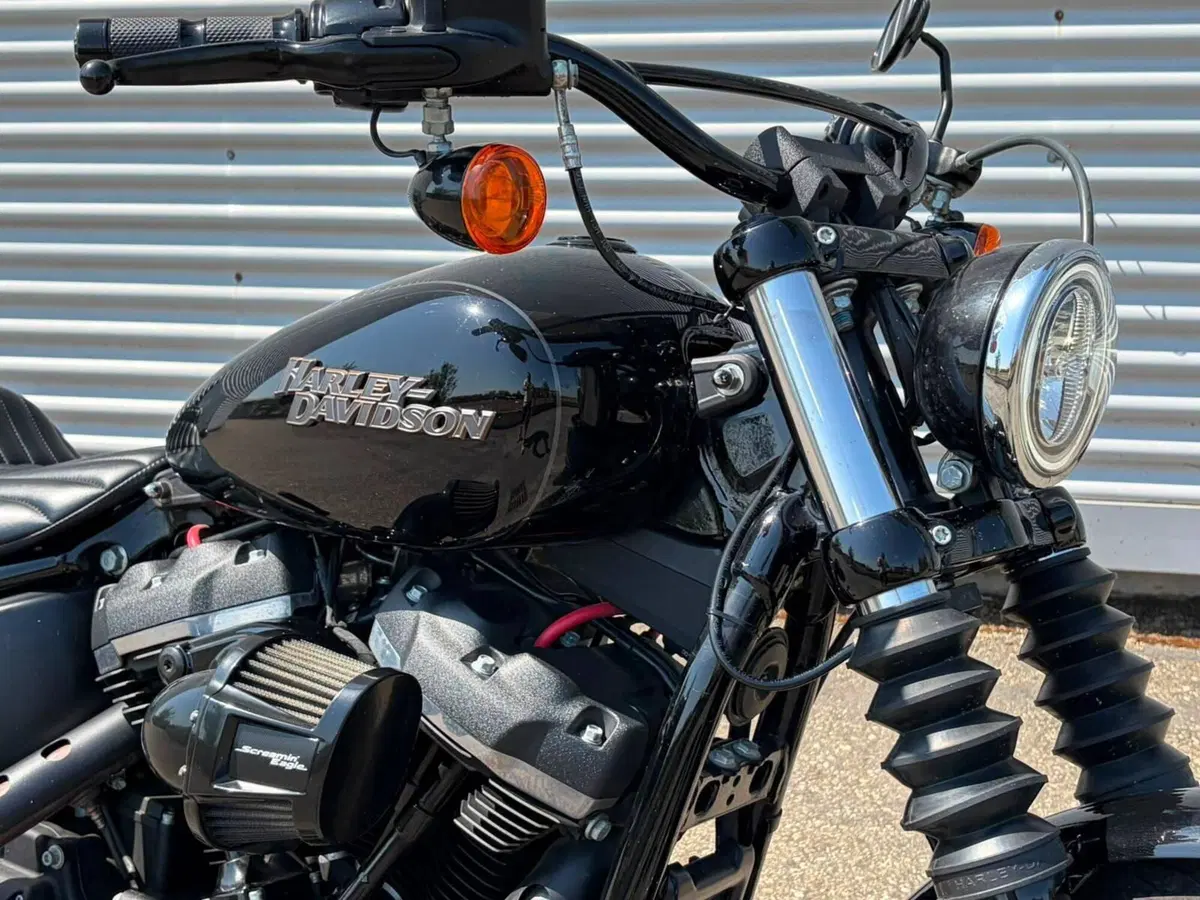 Harley-Davidson 107 Street Bob (2018 - 20) - FXBB (4)