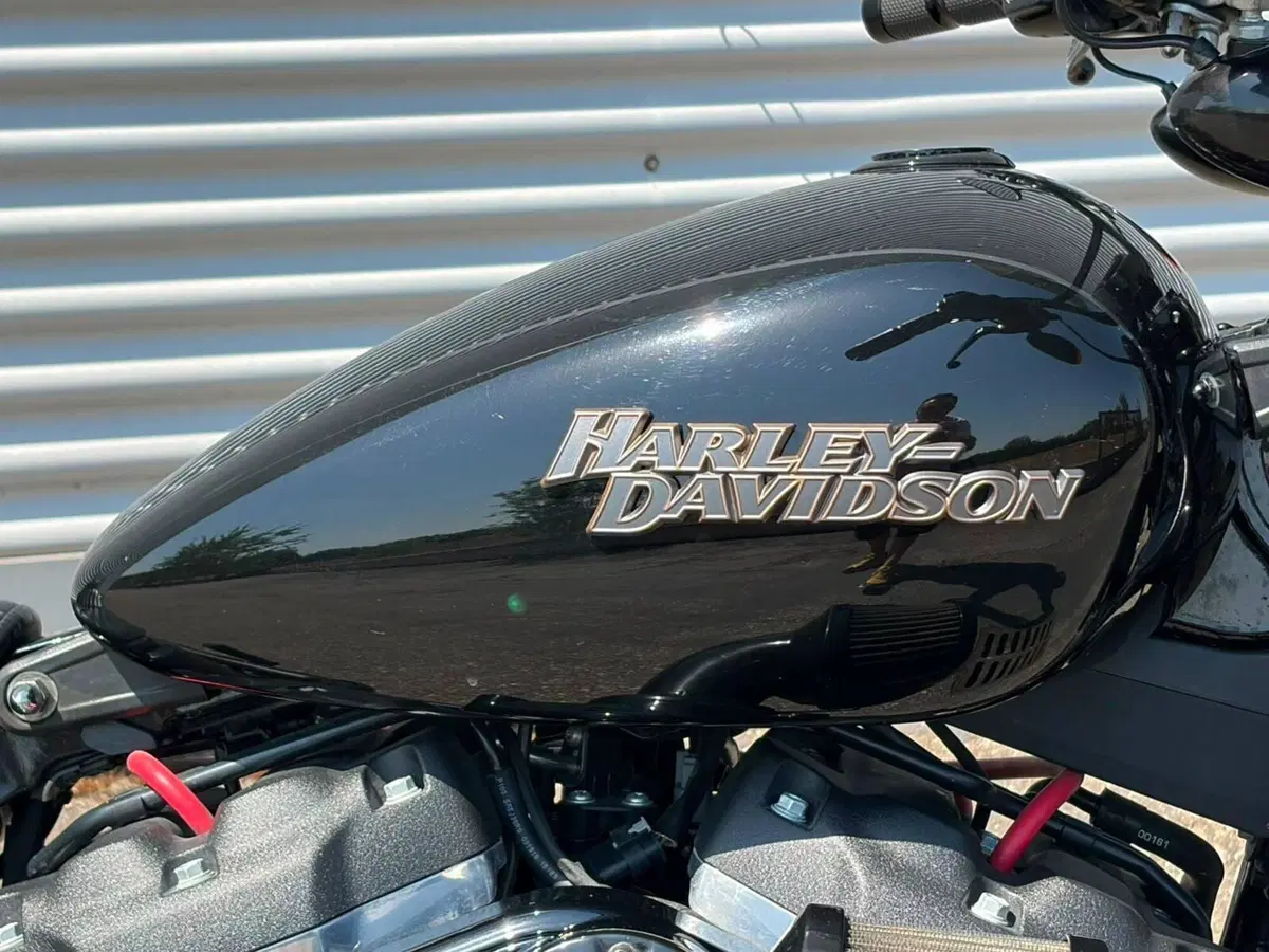 Harley-Davidson 107 Street Bob (2018 - 20) - FXBB (5)