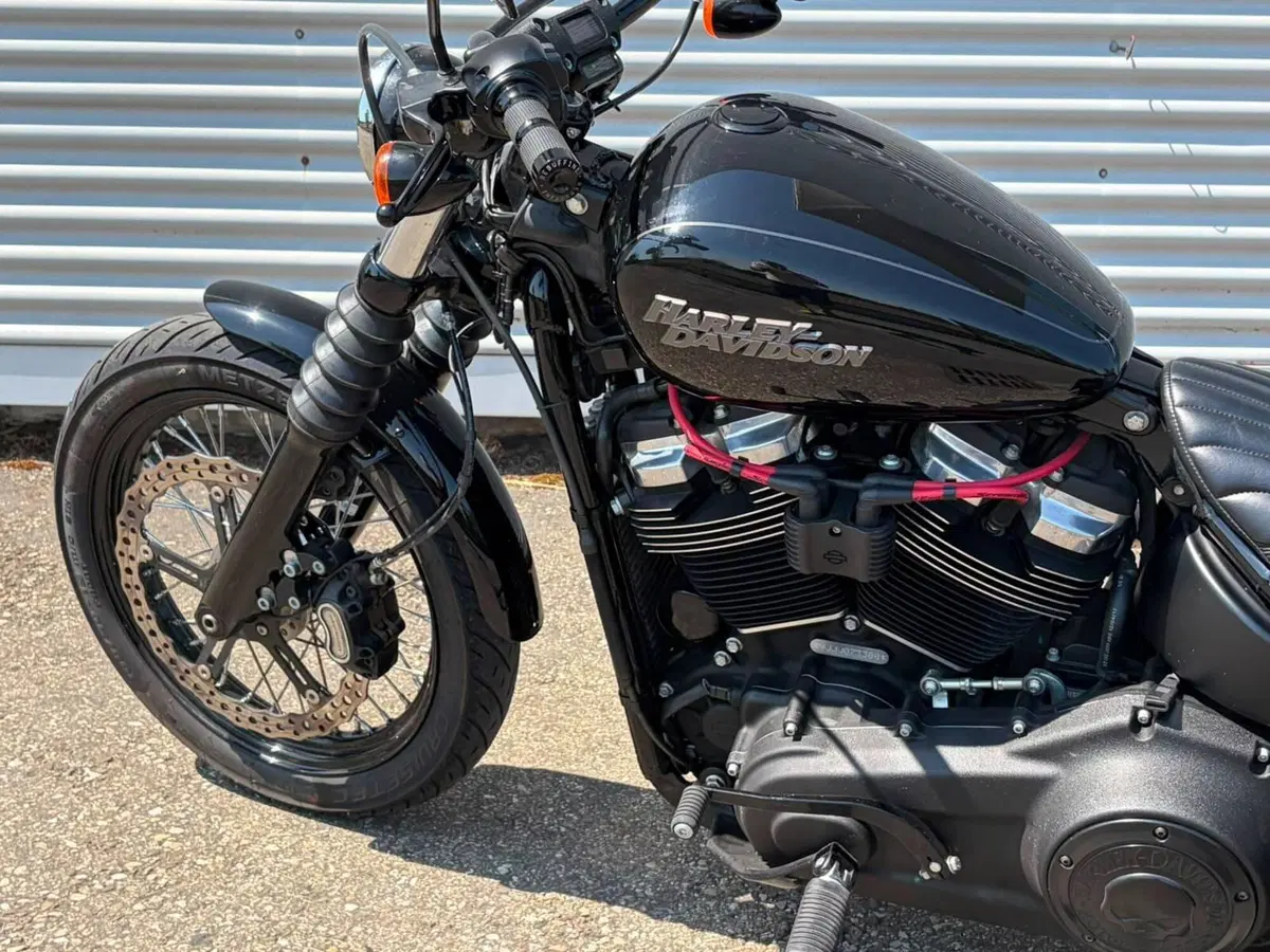 Harley-Davidson 107 Street Bob (2018 - 20) - FXBB (10)