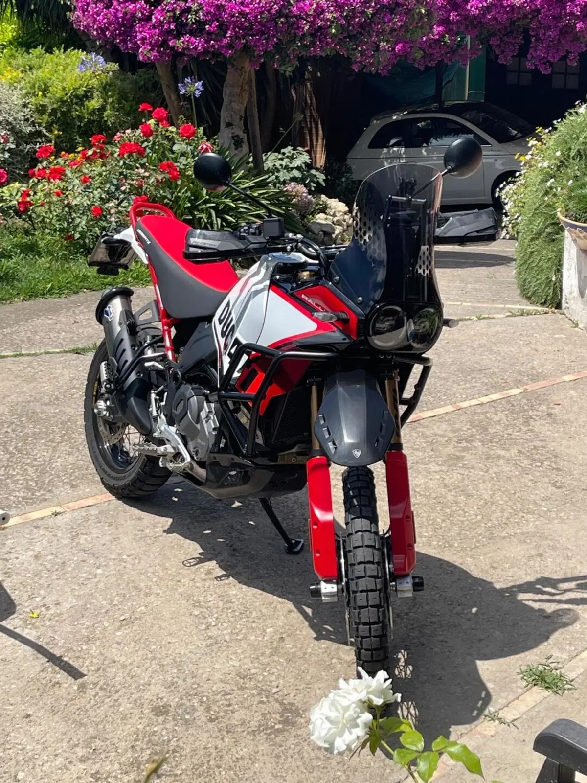 Ducati DesertX Rally (2024 - 25) (2)