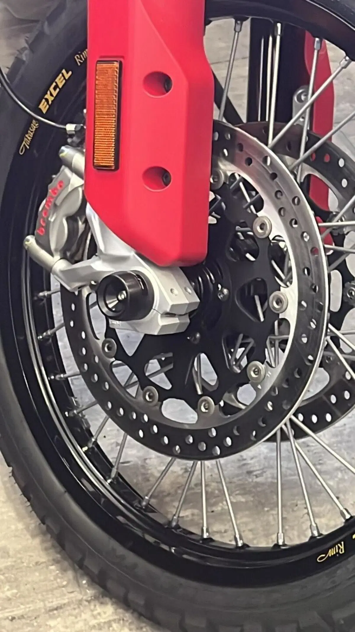 Ducati DesertX Rally (2024 - 25) (4)