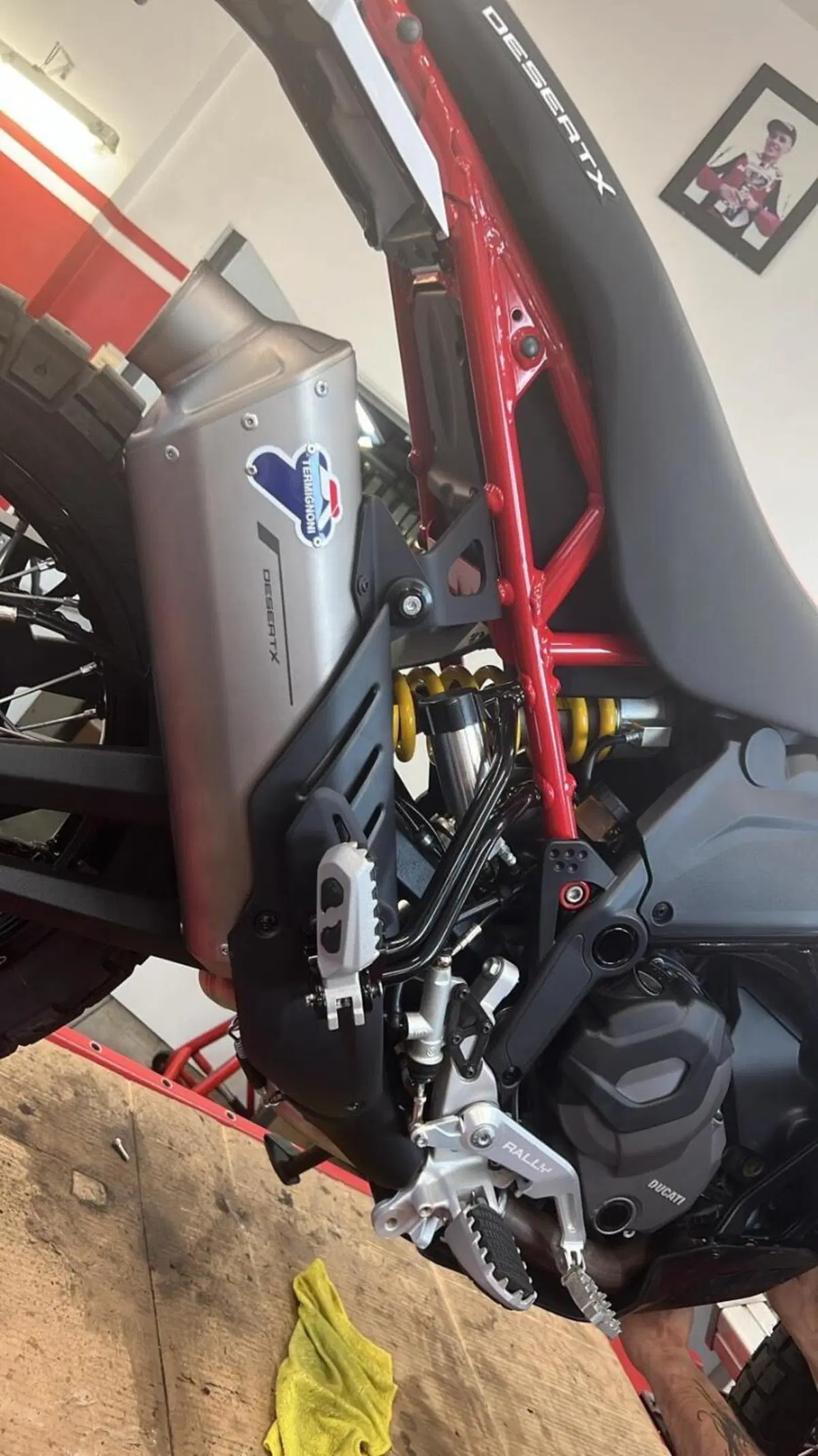 Ducati DesertX Rally (2024 - 25) (6)