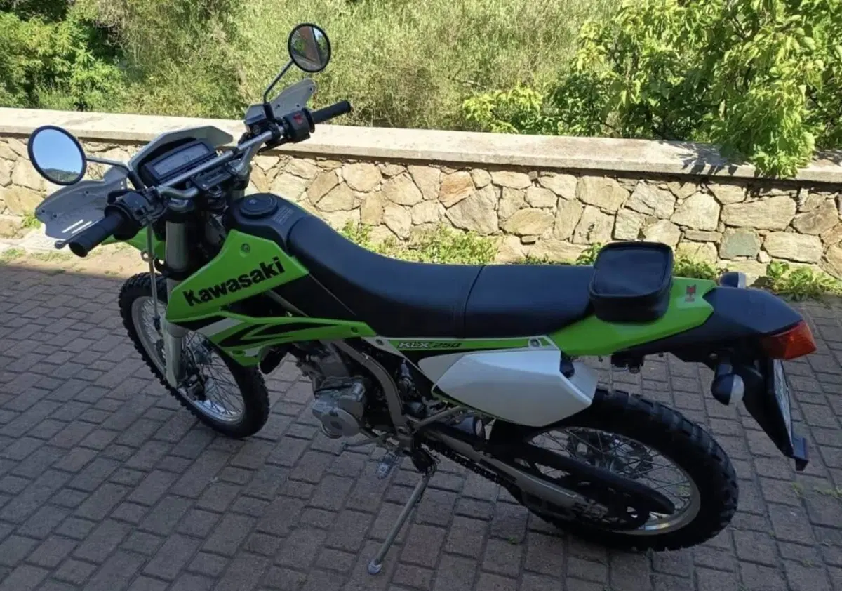 Kawasaki KLX 250 (2009 - 16) (3)