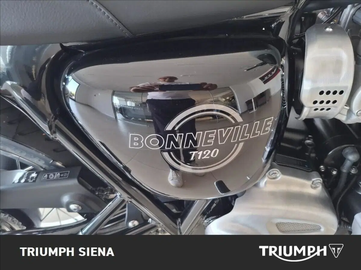 Triumph Bonneville T120 (2026) (6)