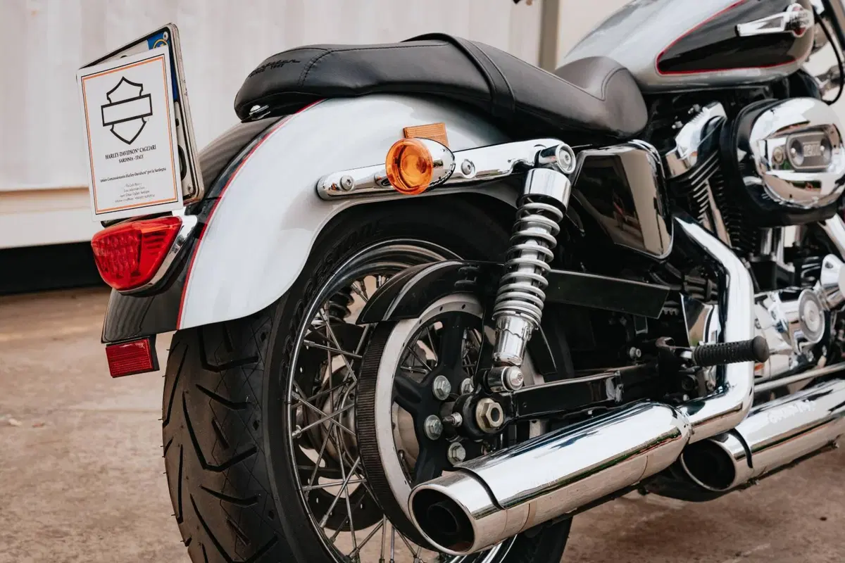 Harley-Davidson 1200 Custom ABS (2014 - 16) - XL 1200C (8)
