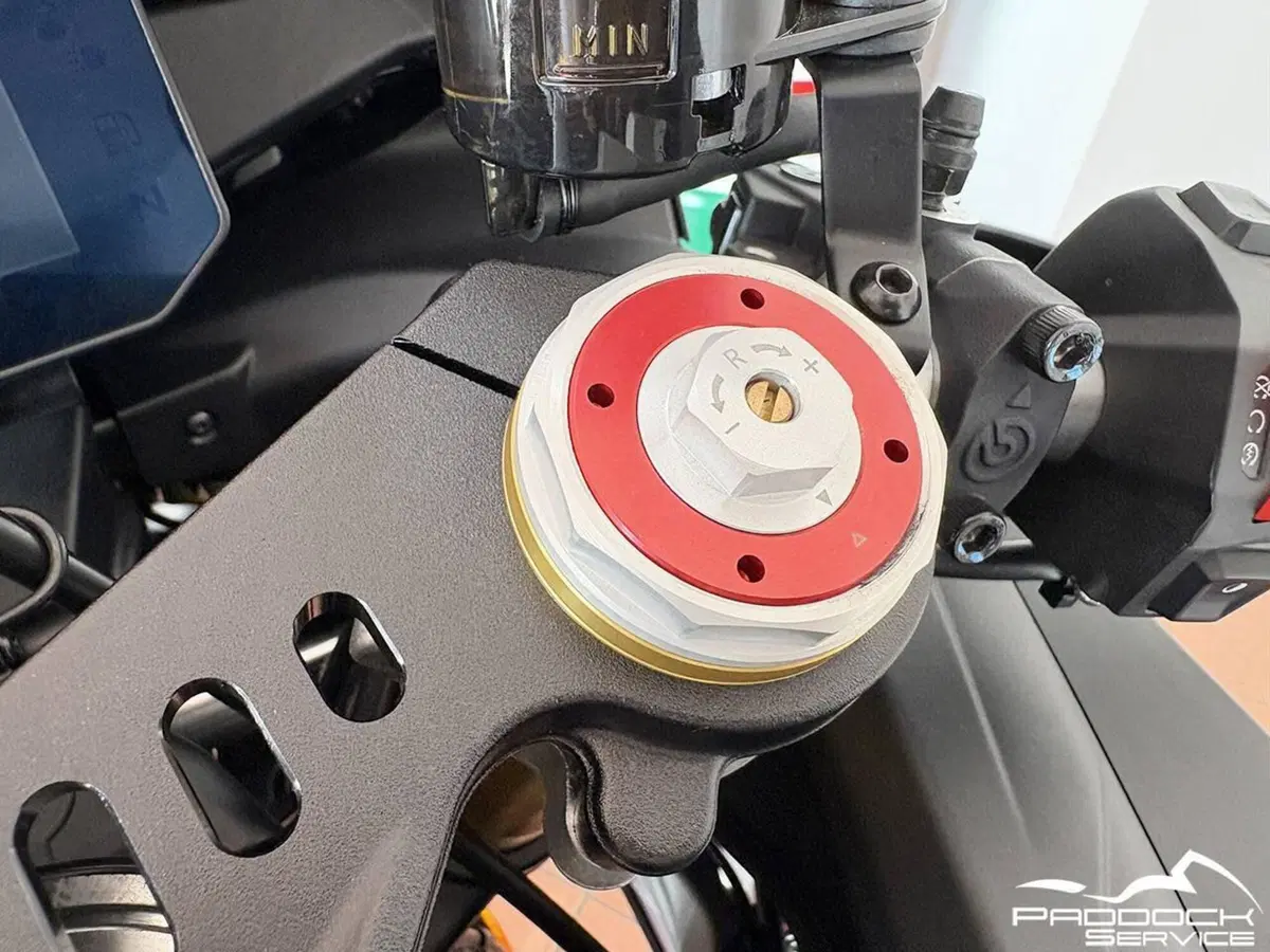 Aprilia RSV4 1100 (2025 - 26) (11)
