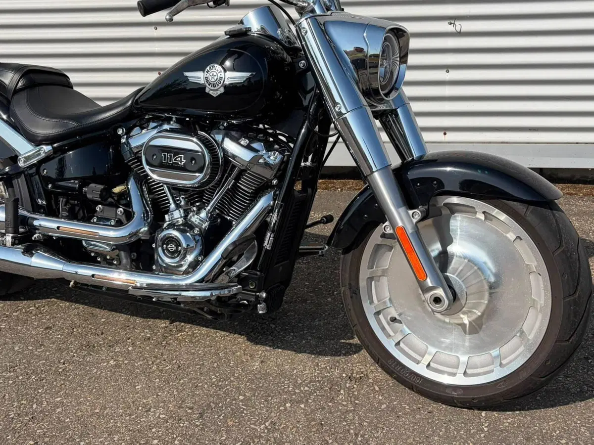 Harley-Davidson Fat Boy 114 (2021 - 24) (3)