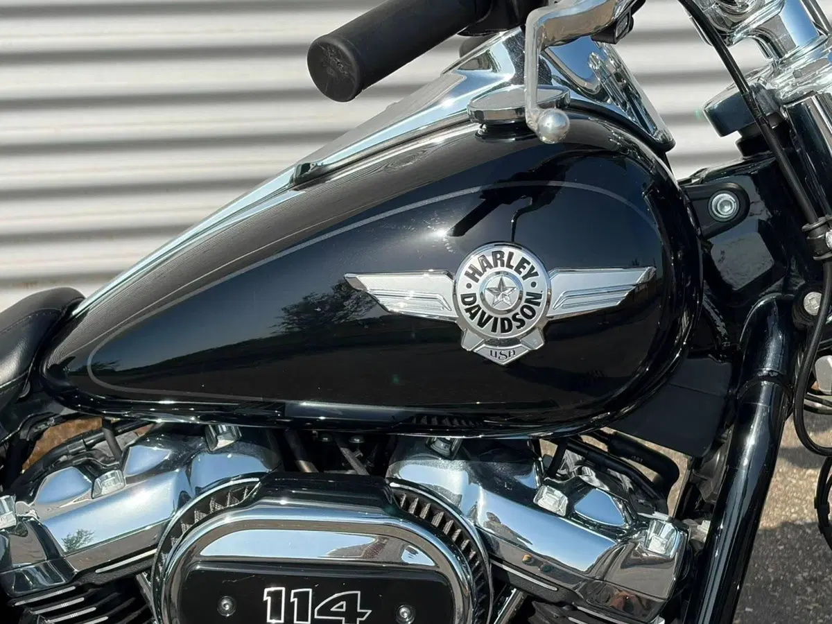 Harley-Davidson Fat Boy 114 (2021 - 24) (5)