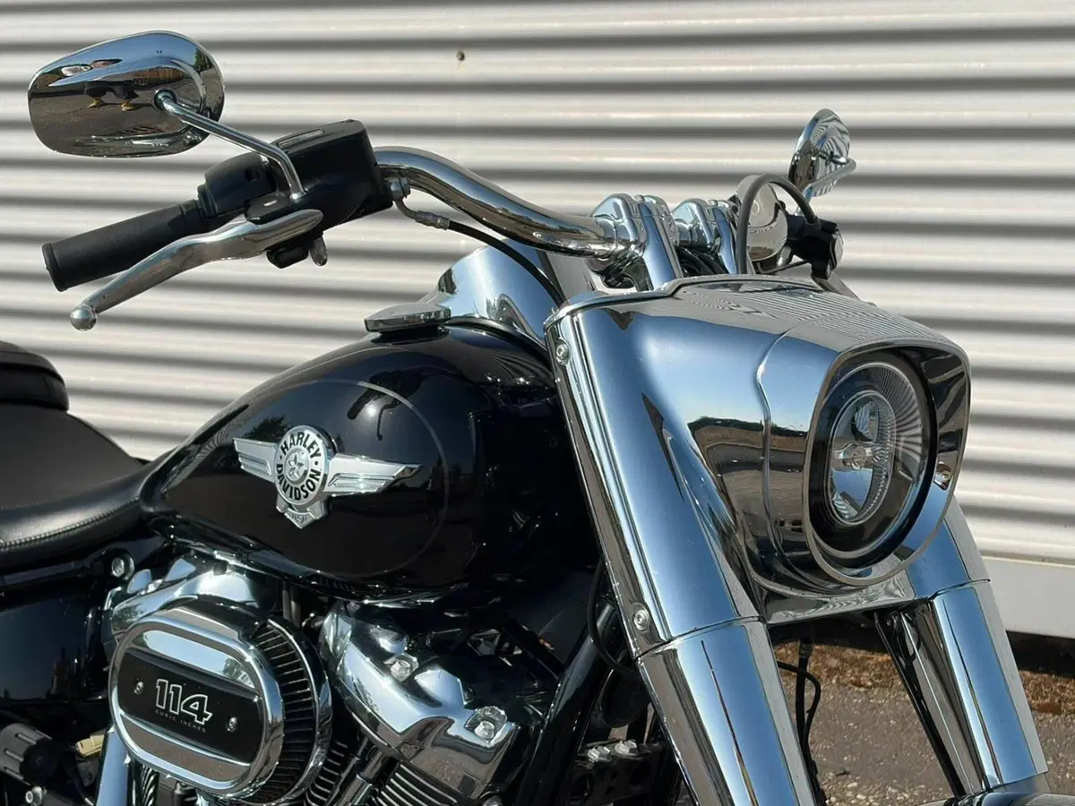 Harley-Davidson Fat Boy 114 (2021 - 24) (7)