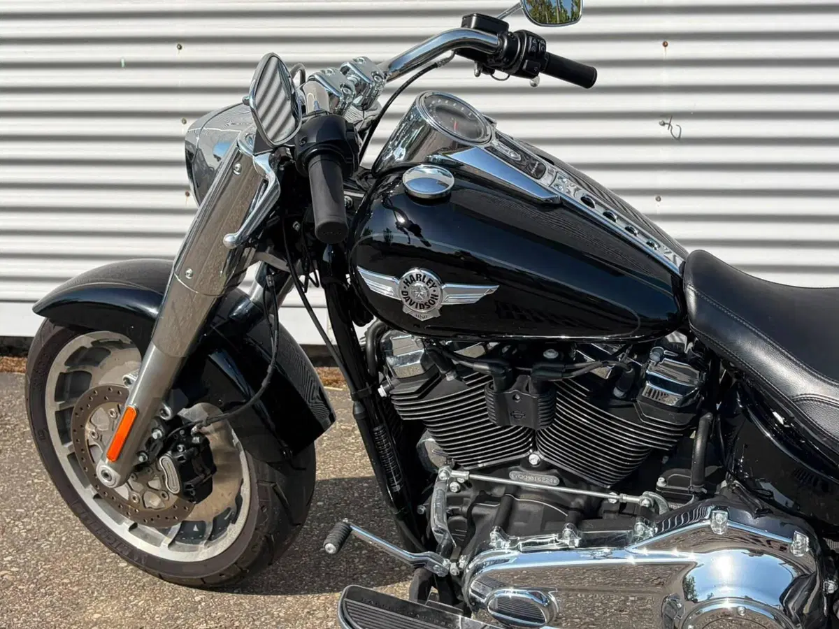 Harley-Davidson Fat Boy 114 (2021 - 24) (9)