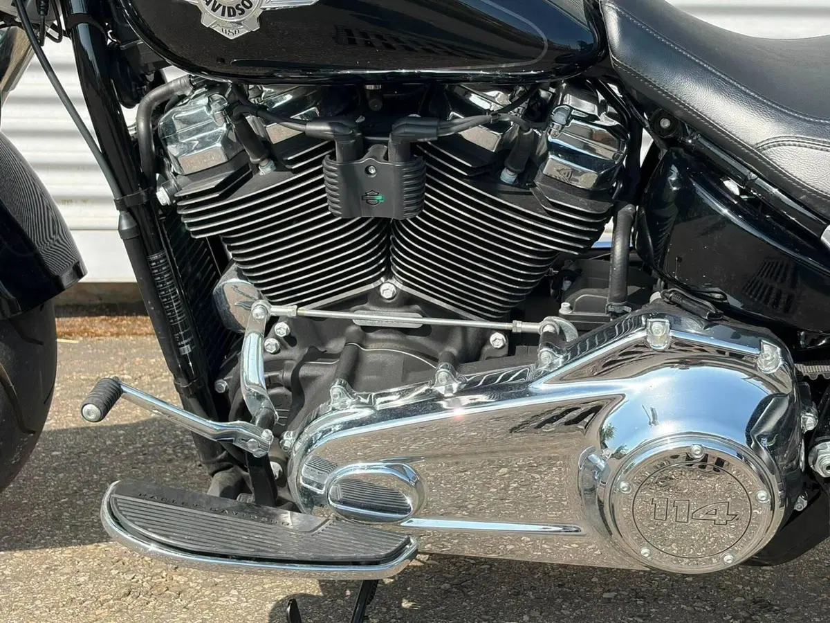 Harley-Davidson Fat Boy 114 (2021 - 24) (10)