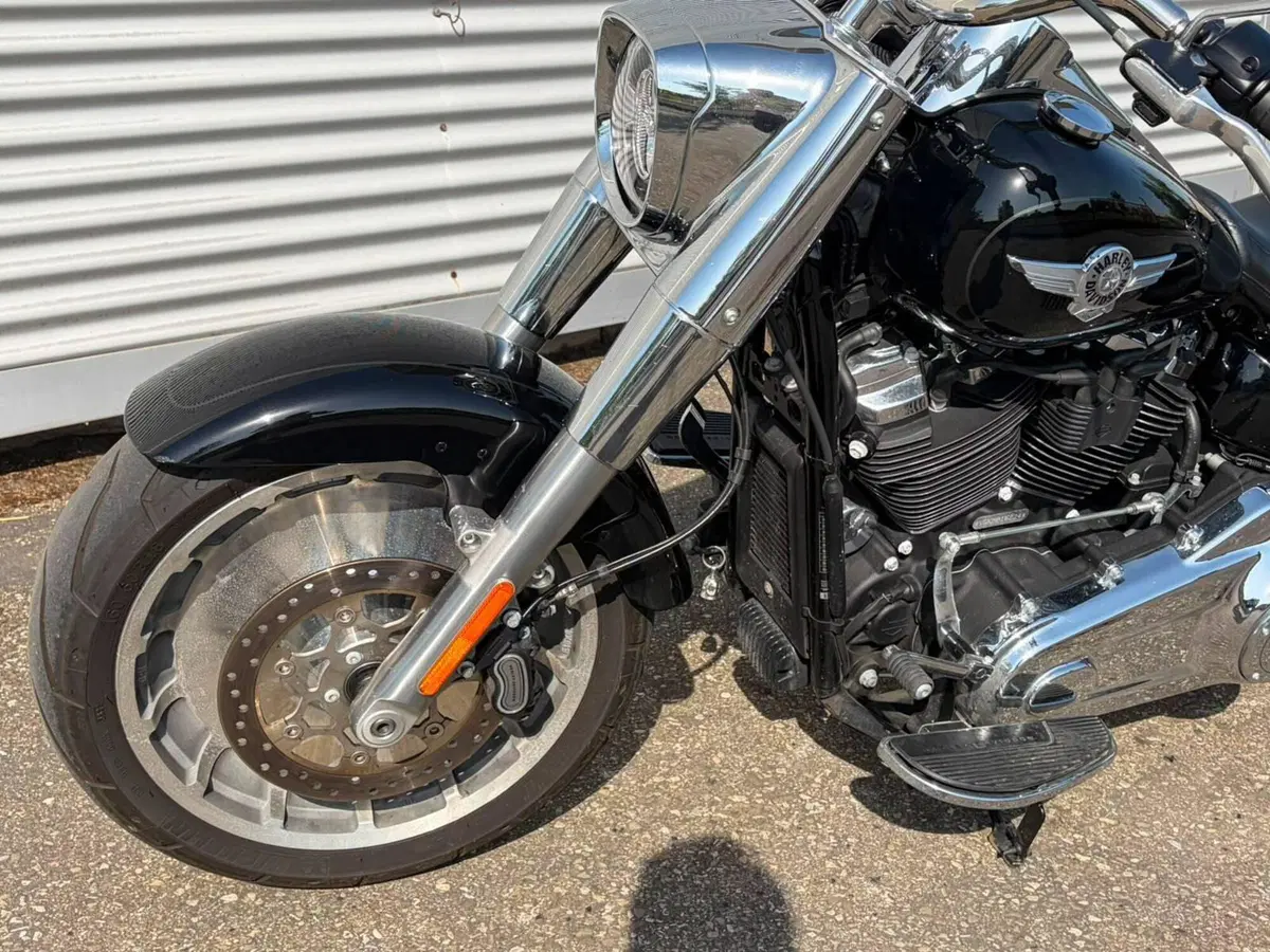 Harley-Davidson Fat Boy 114 (2021 - 24) (12)