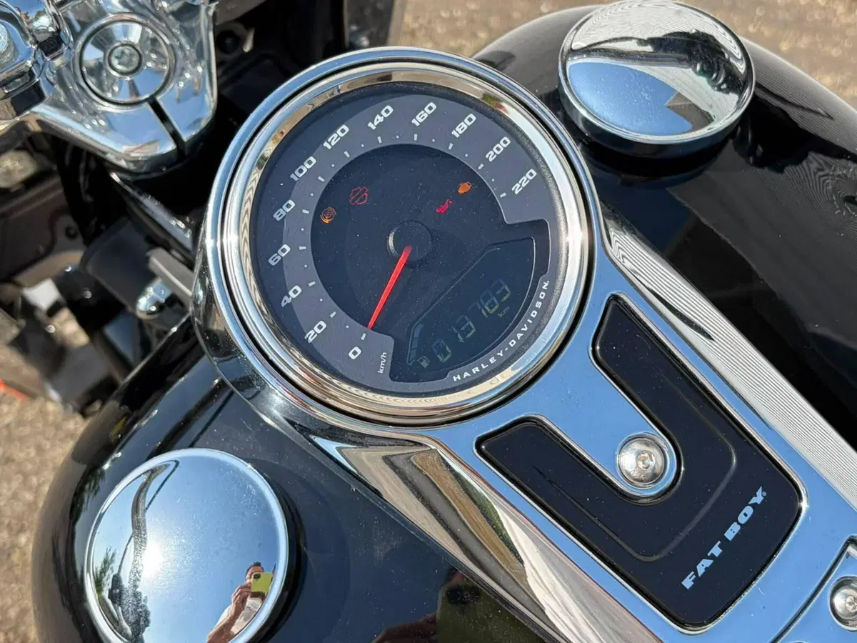 Harley-Davidson Fat Boy 114 (2021 - 24) (13)