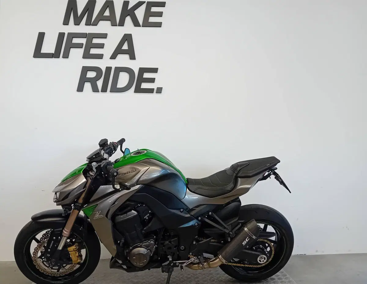 Kawasaki Z 1000 ABS (2014 - 16) (2)