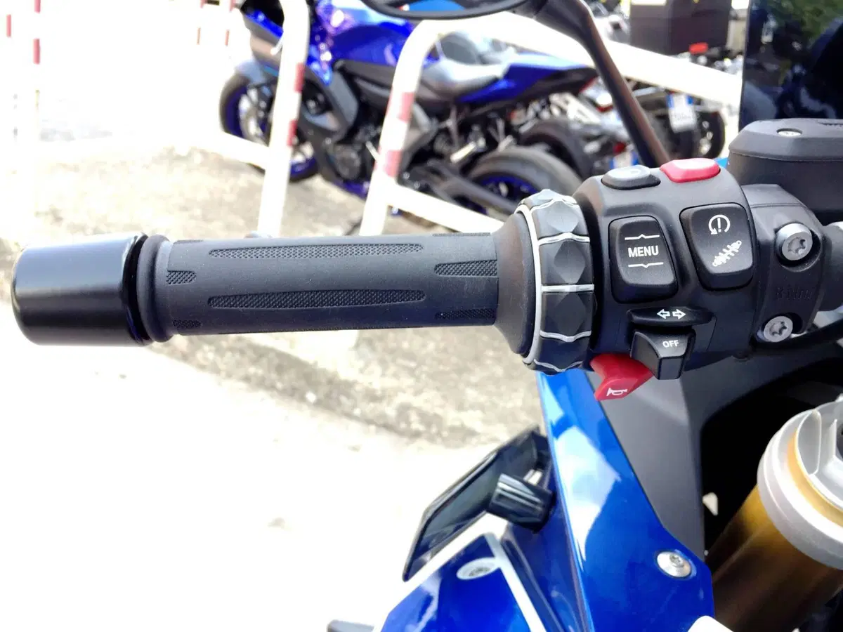 Bmw R 1250 RS (2021 - 25) (12)